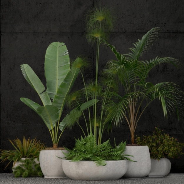 现代植物盆栽3D模型