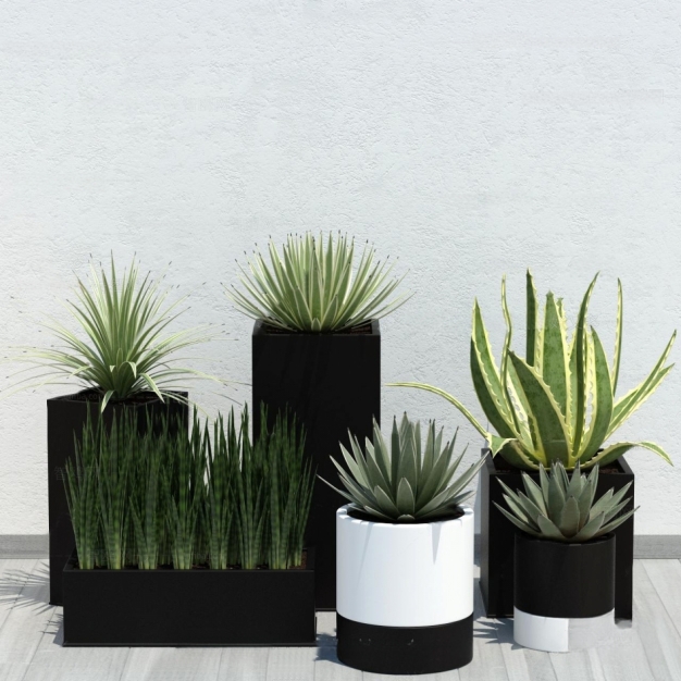植物盆栽3D模型
