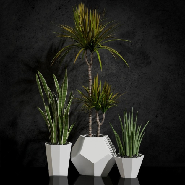 植物盆栽3D模型