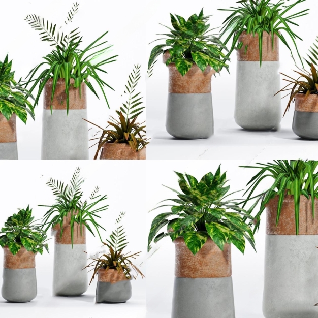现代植物盆栽3D模型