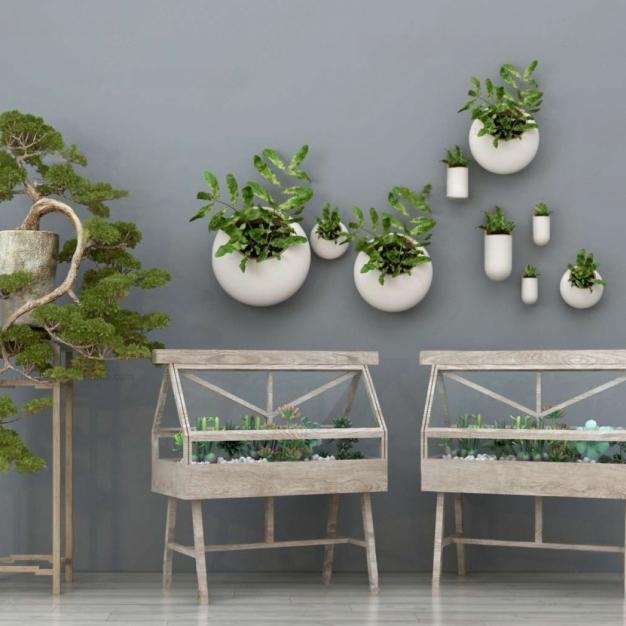 植物盆栽3D模型