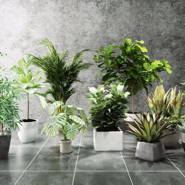 绿植盆栽组合3D模型
