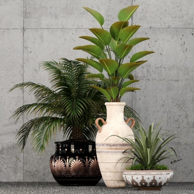 植物盆栽3D模型