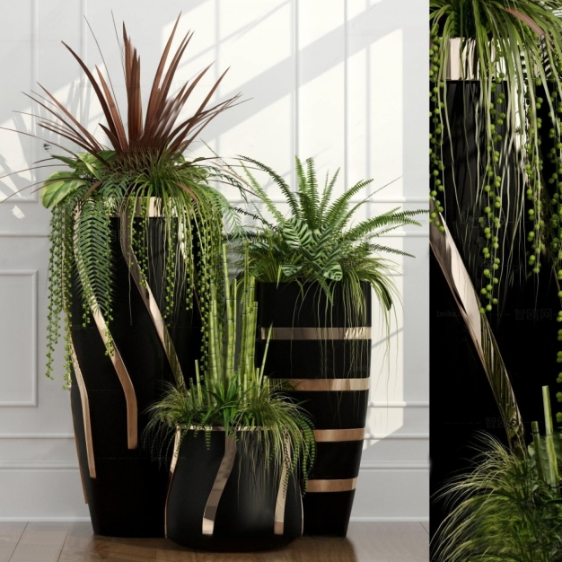 植物盆栽3D模型
