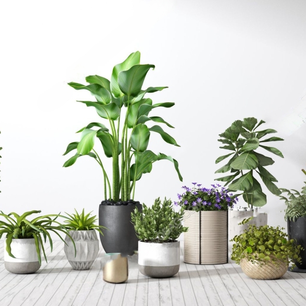 绿植盆栽组合3D模型