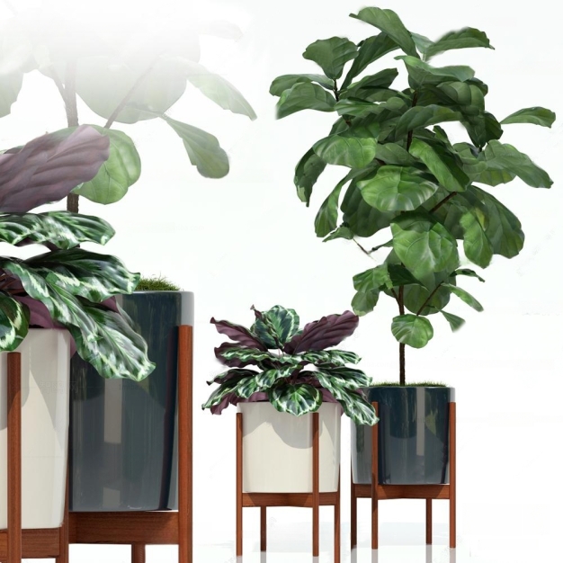 植物盆栽3D模型
