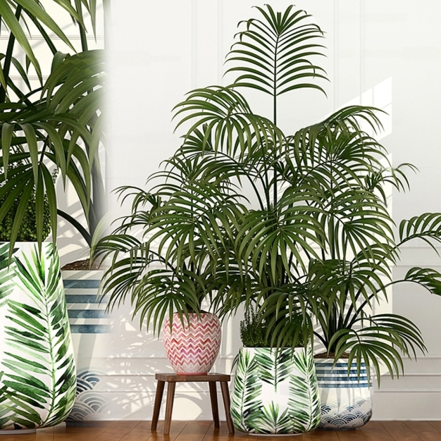 现代植物盆栽3D模型