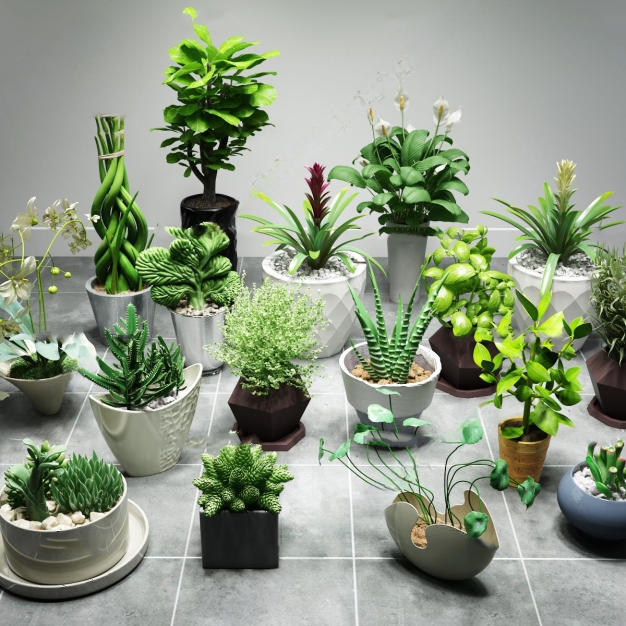 现代多肉白掌绿植盆栽组合3D模型