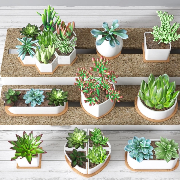 现代多肉绿植盆栽组合3D模型