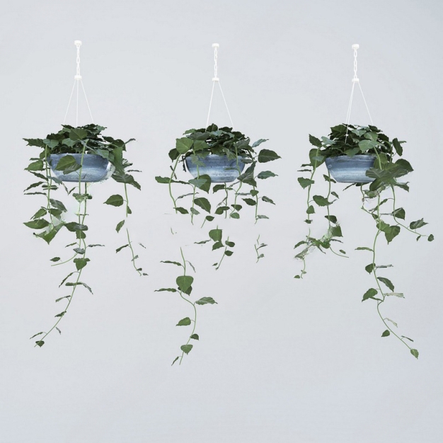 现代吊篮绿植盆栽3D模型