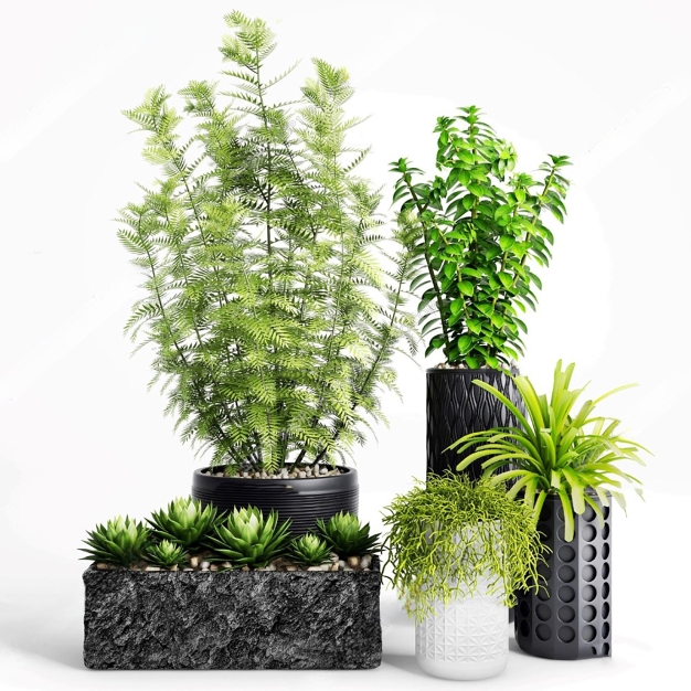 现代绿植盆栽组合3D模型