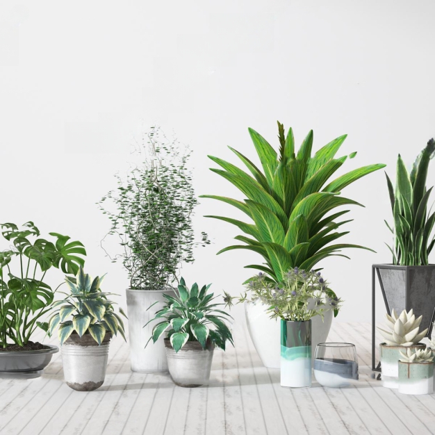 现代绿色植物盆栽组合3D模型
