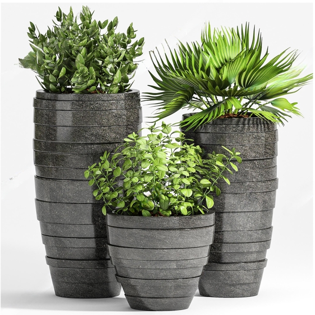 现代绿植盆栽组合3D模型