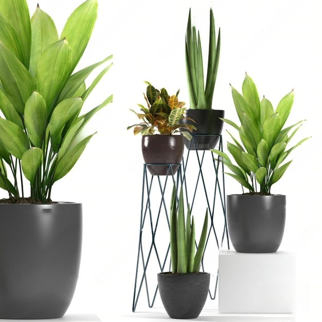 现代绿植盆栽组合3D模型