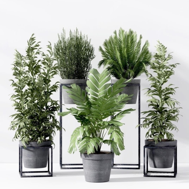 植物盆栽3D模型