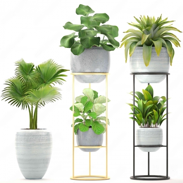 植物盆栽3D模型