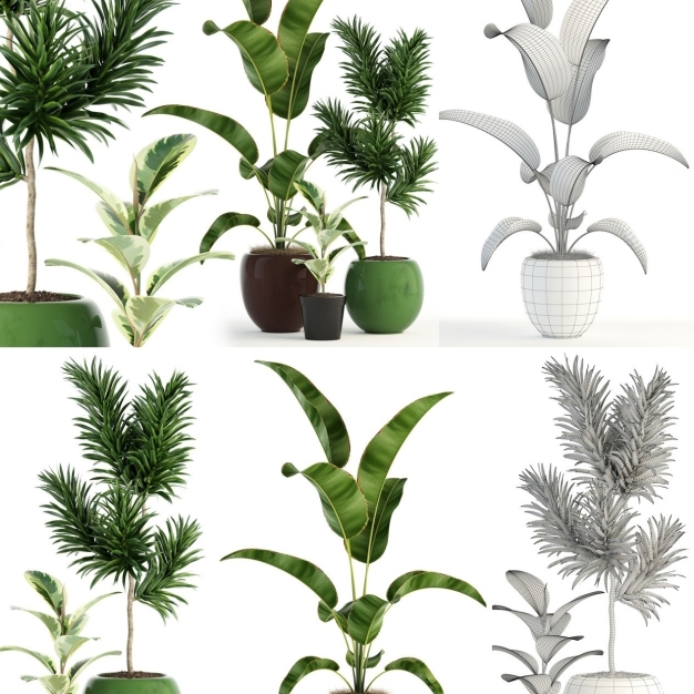 植物盆栽3D模型
