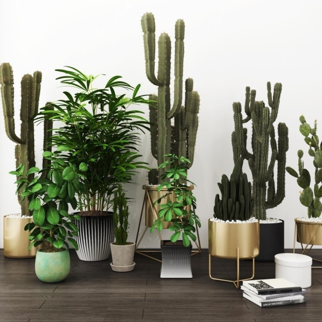 植物盆栽3D模型