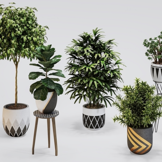 植物盆栽3D模型