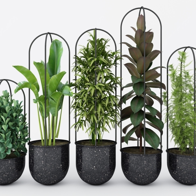 植物盆栽3D模型