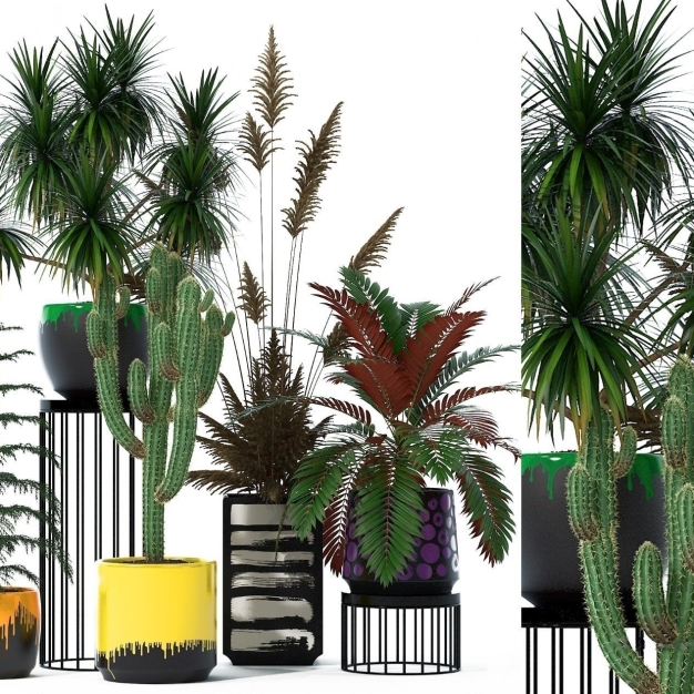植物盆栽3D模型