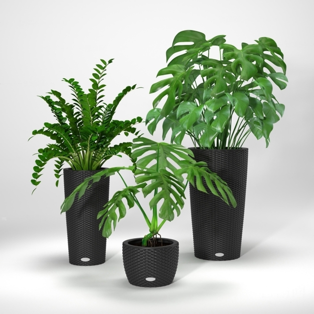 植物盆栽3D模型