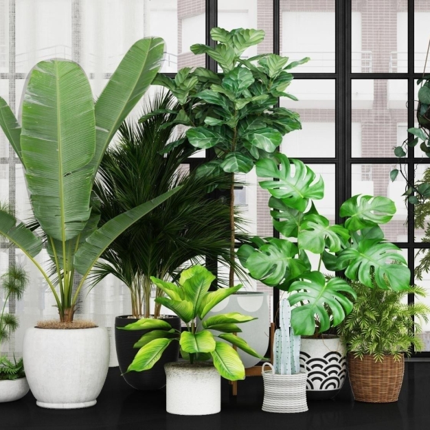 植物盆栽3D模型