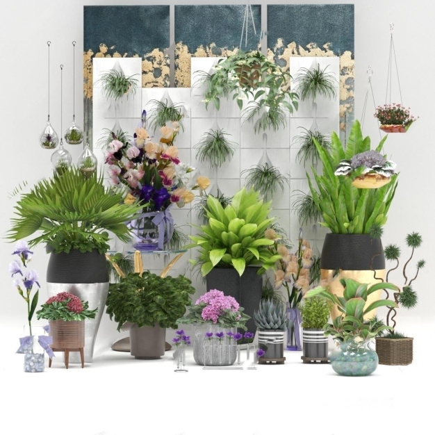 植物盆栽3D模型