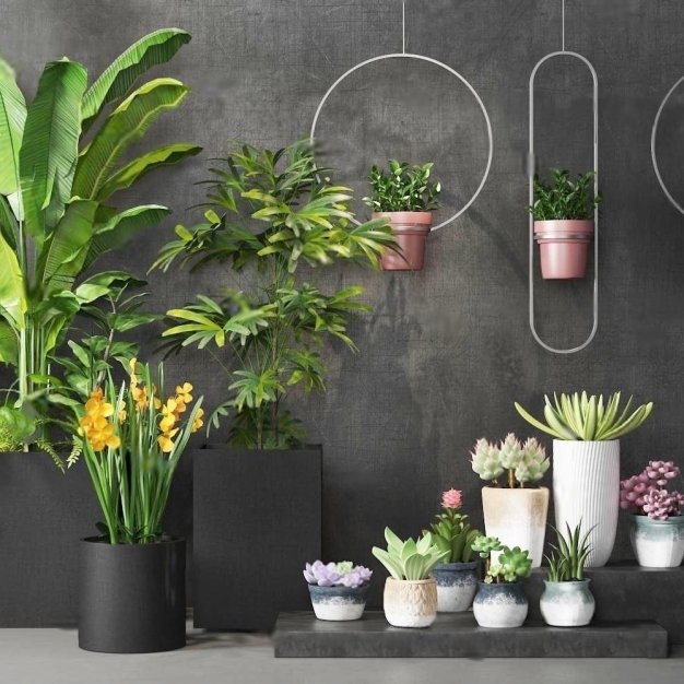 植物盆栽3D模型