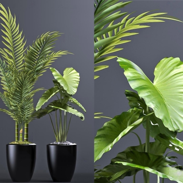 植物盆栽3D模型