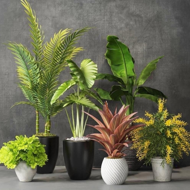 植物盆栽3D模型