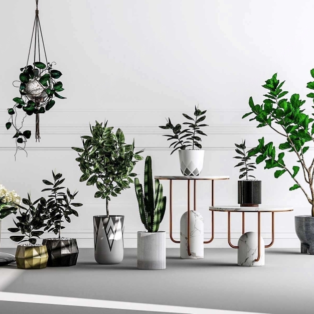 植物盆栽3D模型