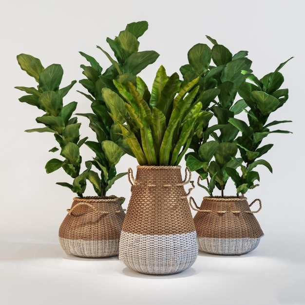 植物盆栽3D模型