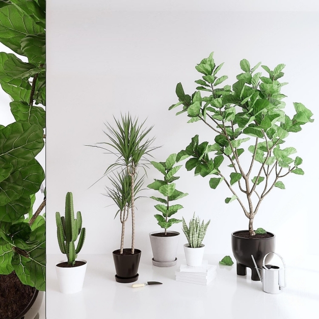 植物盆栽3D模型