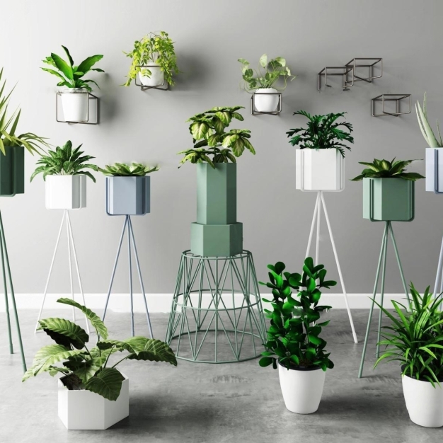植物盆栽3D模型
