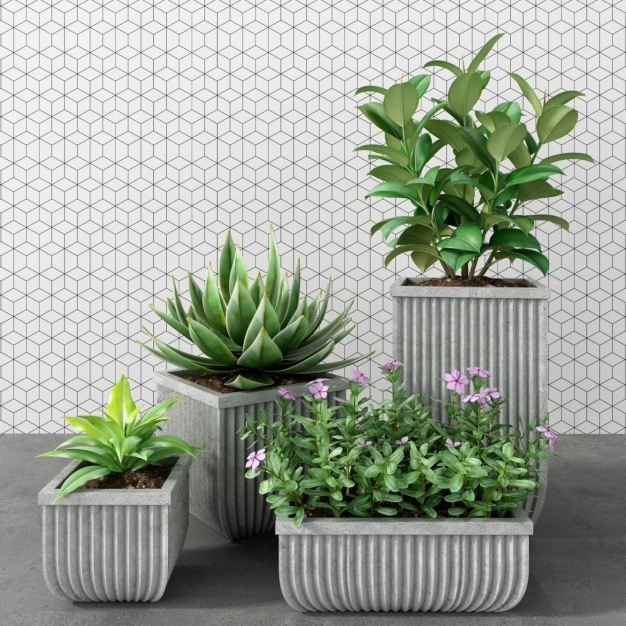 植物盆栽3D模型