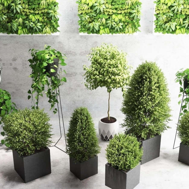 植物盆栽3D模型