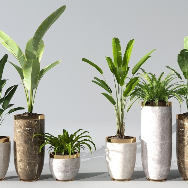 植物盆栽3D模型