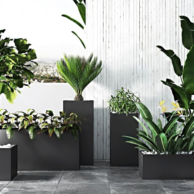 植物盆栽3D模型