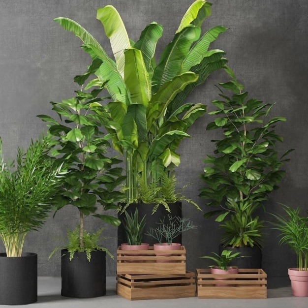 植物盆栽3D模型