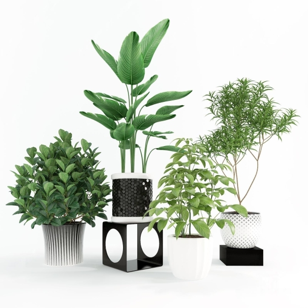 植物盆栽3D模型