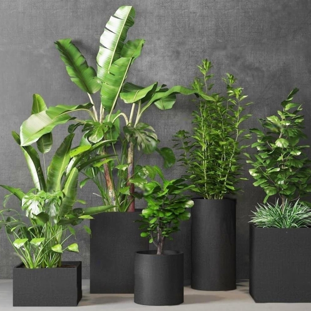 植物盆栽3D模型