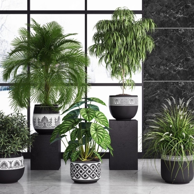 植物盆栽3D模型