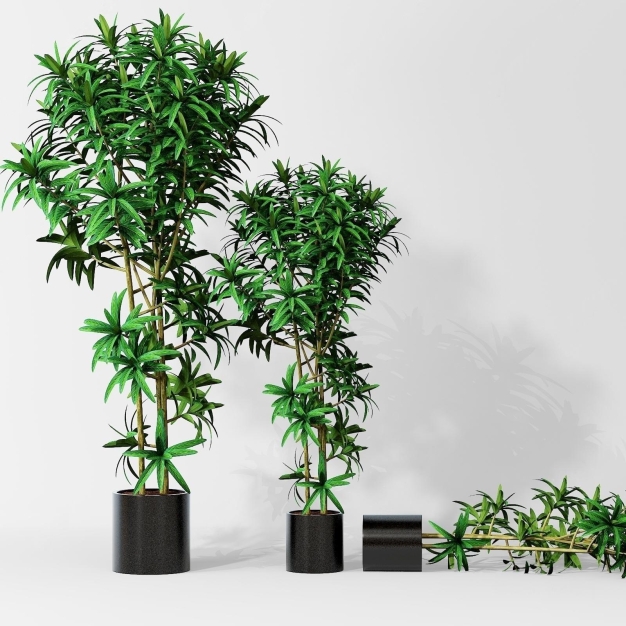 植物盆栽3D模型