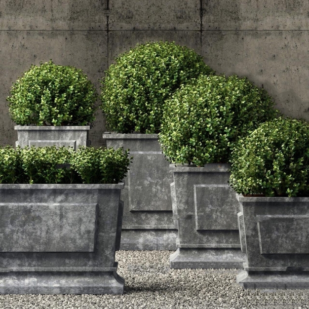植物盆栽3D模型