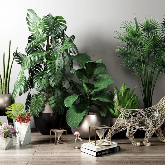 植物盆栽3D模型