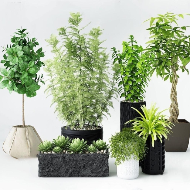 植物盆栽3D模型
