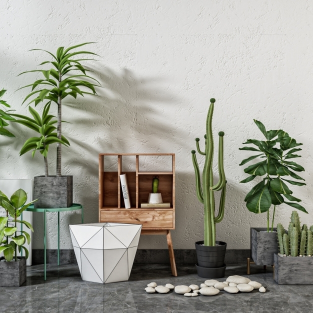 植物盆栽3D模型