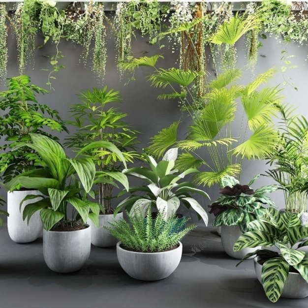 植物盆栽3D模型