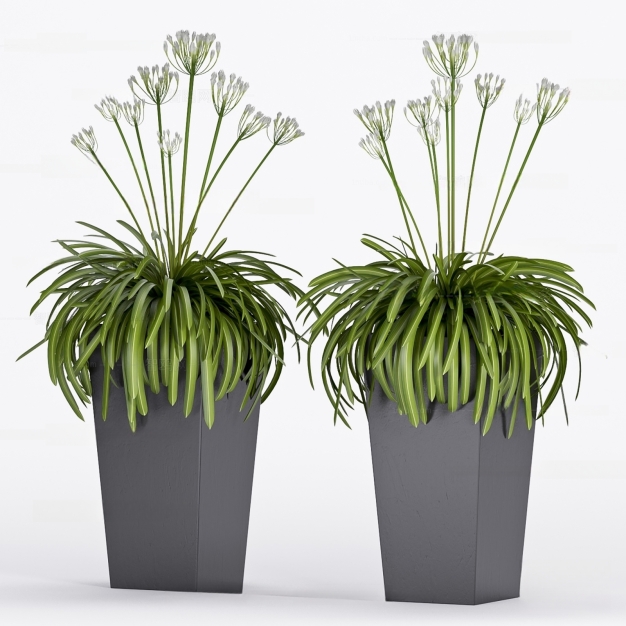 现代植物盆栽3D模型
